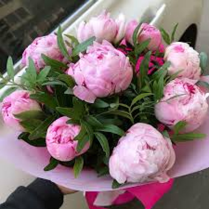 Пион древовидный в Лисаковске