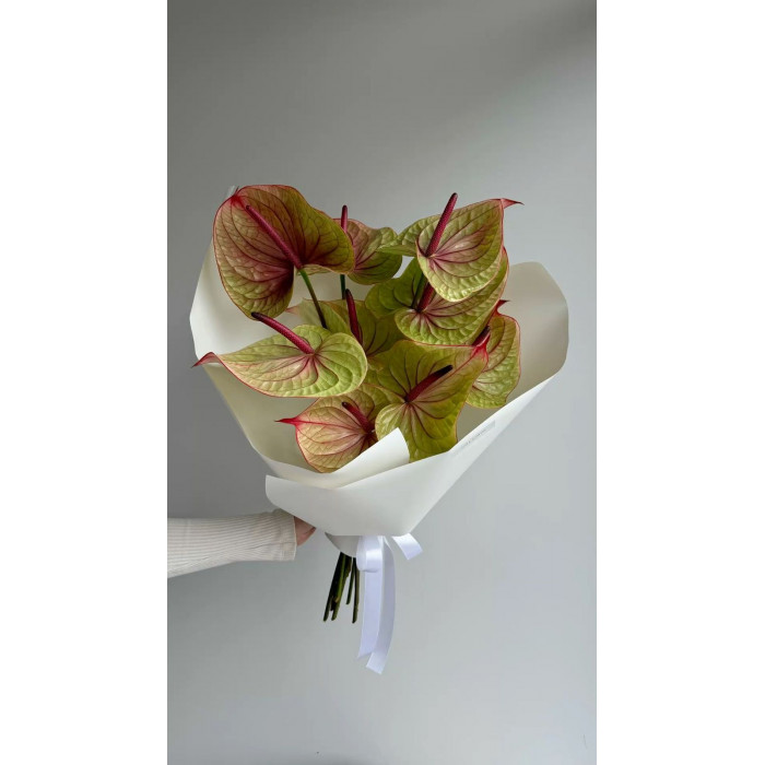 Антуриумы в Лисаковске