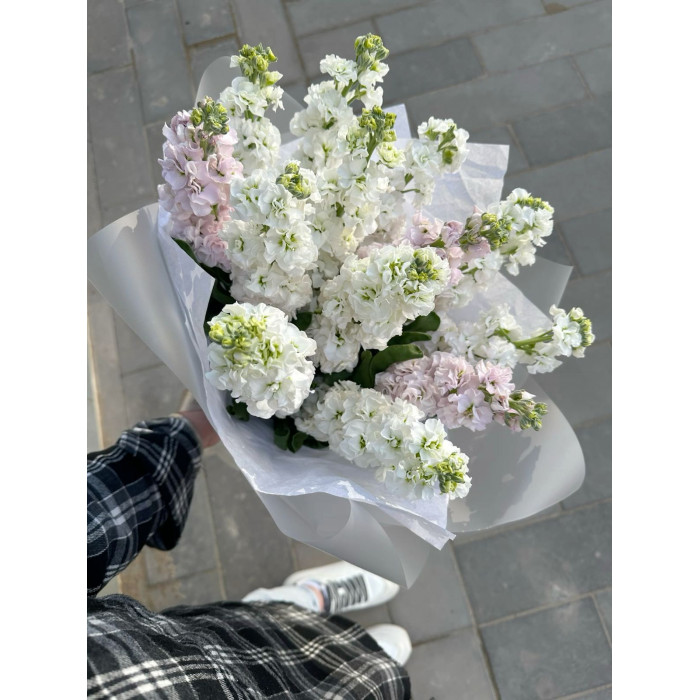 Маттиола в Лисаковске