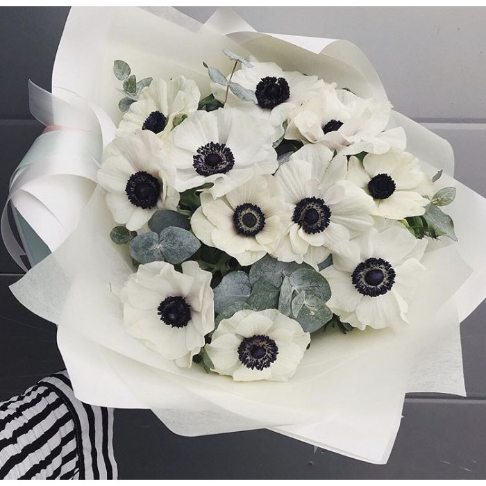 Анемоны в Лисаковске