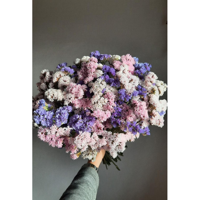 Статица (Лимониум) в Лисаковске