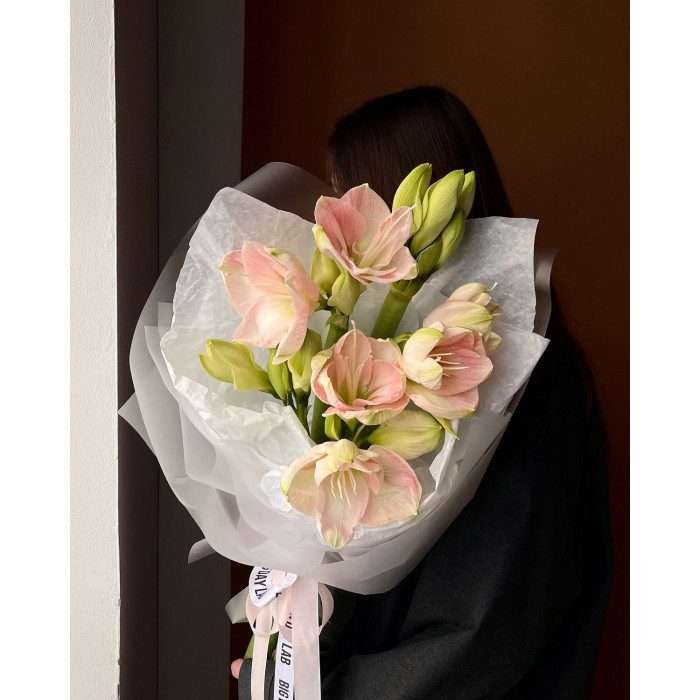 Амариллис в Лисаковске