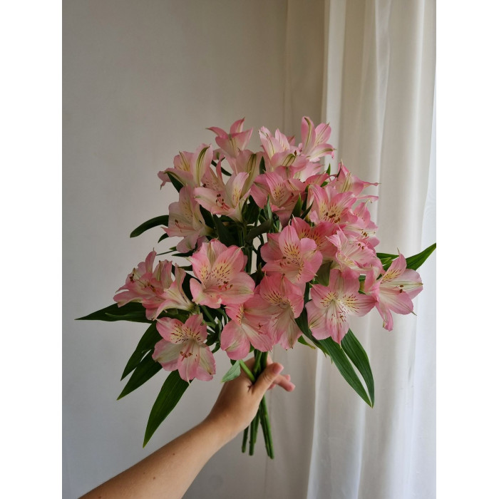 Альпиния в Лисаковске