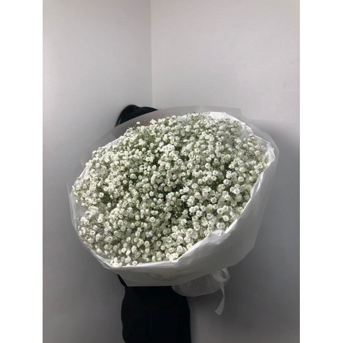 Гипсофила классическая в Лисаковске