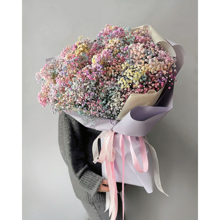 Гипсофила цветная в Лисаковске