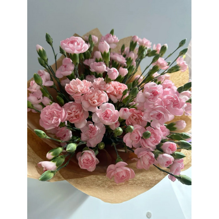 Кустовые гвоздики в Лисаковске