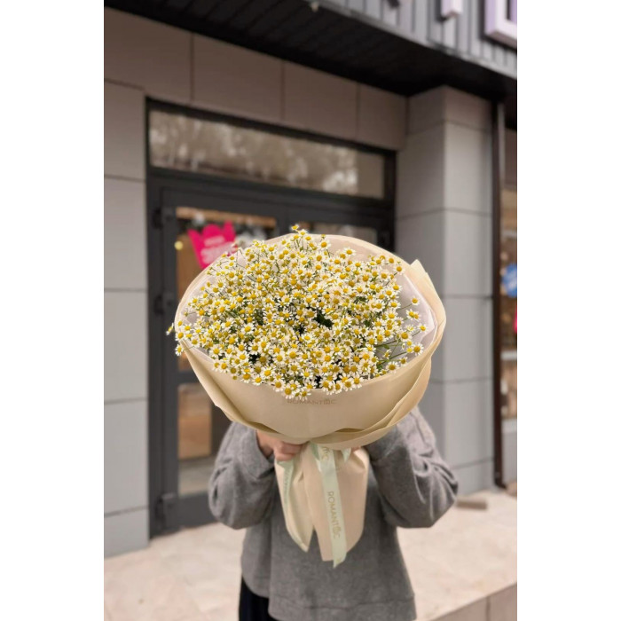 Танацетум в Лисаковске