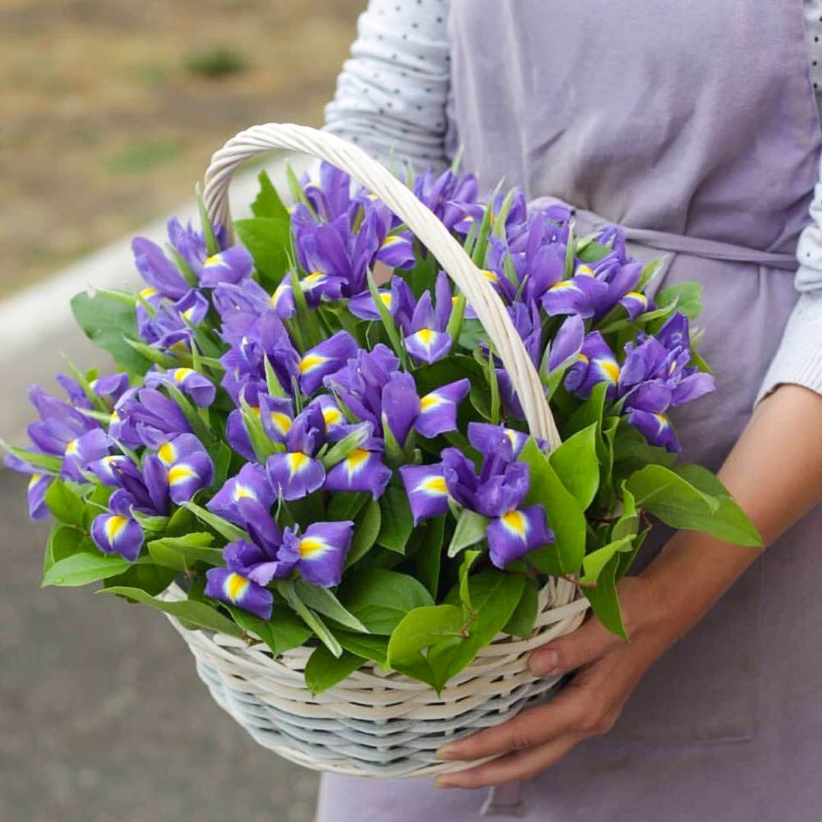 Цветы ирисы